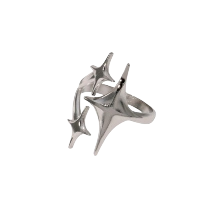 Star signs Ring Silver